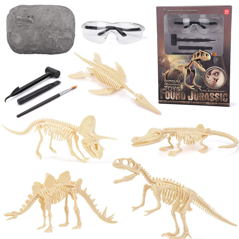 Model Kit Excavator - Dinosaurus Fossielen Opgraving Kit STEM: Ontdek
