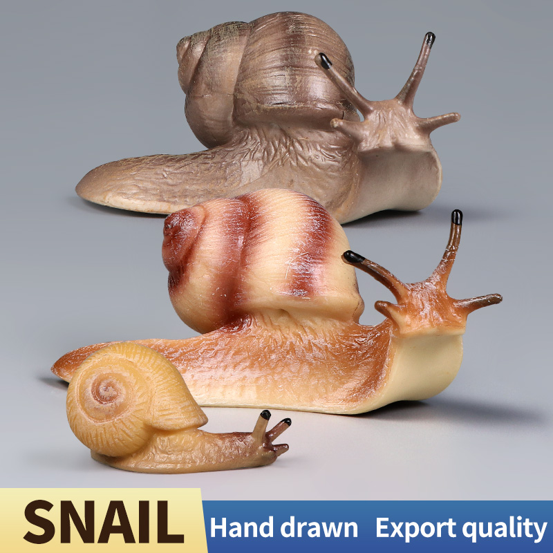 Educatief speelgoed met slakke - Model Kit Brand recensie en prijs