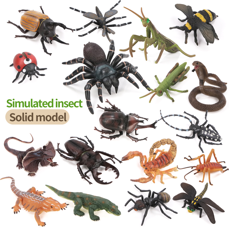 Educatieve simulatie insecten- - Model Kit Brand recensie en prijs